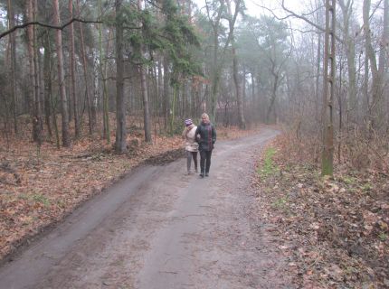 dzieci i opiekunowie id drog